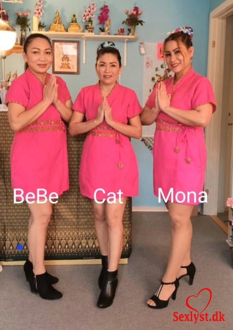 
					Velkommen til god og professionel Thaimassage i Ringsted.NU ER VI 3 PIGER :  BeBe, Cat og MonaMona er p ferie frem til d. 15/7, men BeBe og Cat er her stadig.Vi byder velkommen til i fine lokaler, hvor der er en god og afslappende atmosfre. Vi har mange rs erfaring med massage og vi kan tilbyde bde traditionel thaimassage, oliemassage, tantramassage og sportsmassage, ring gerne for mere information.Der er mulighed for parkering i nrheden og du kan tage et bad, hvis det er. Vi kan kontaktes p telefon 50285434.Vi har bent Kl. 09 - 22TIDSBESTILLING ER EN GOD IDESPRGSML OM SEKSUELLE YDERSER BESVARES IKKE INGEN SEX - SORRY - KUN MASSAGE#ringsted #sor #slagelse #nstved #thaimassage #oliemassage #tantramassage #sportsmassage 
				